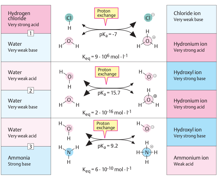 Water as a Solvent: Proton Exchange